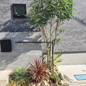 伸びすぎた植物の取り換えと剪定で、玄関の印象を一新