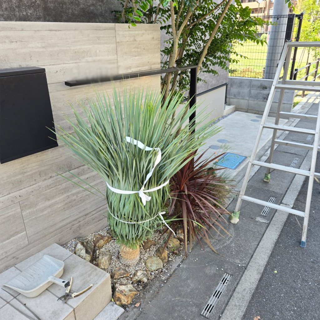 伸びすぎた植物の取り換えと剪定で、玄関の印象を一新