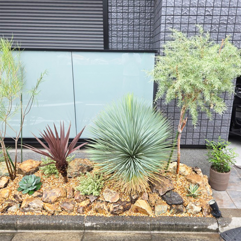 定番とは違ったオリジナリティの高いドライガーデンに